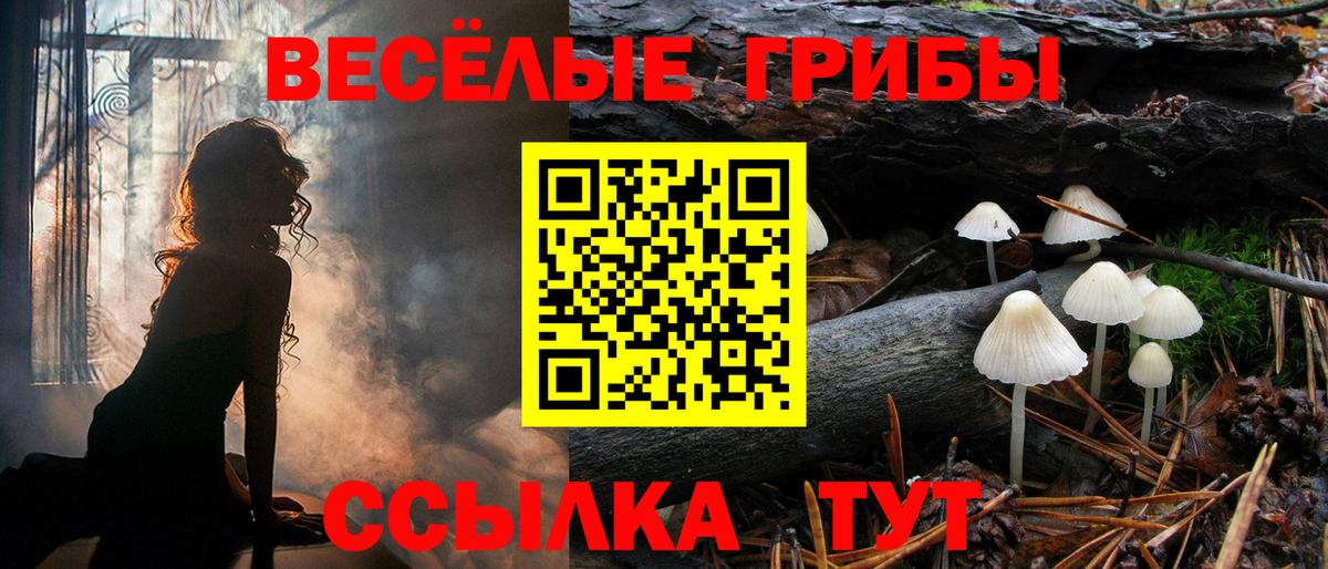 Галлюциногенные грибы Psilocybine cubensis  Вход с VPN  Назрань 