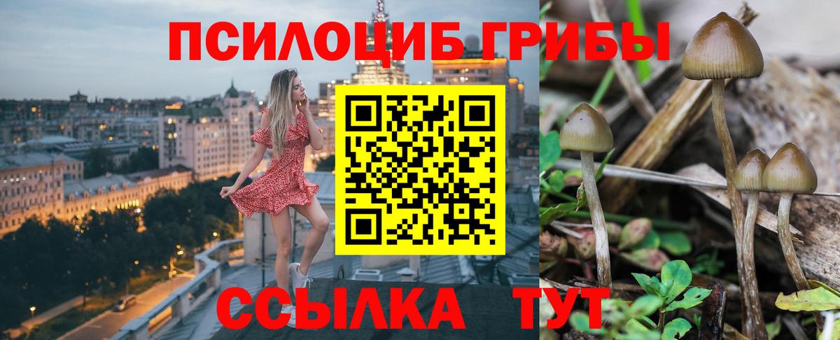 Псилоцибиновые грибы MAGIC MUSHROOMS Назрань