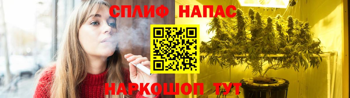 Конопля конопля Назрань